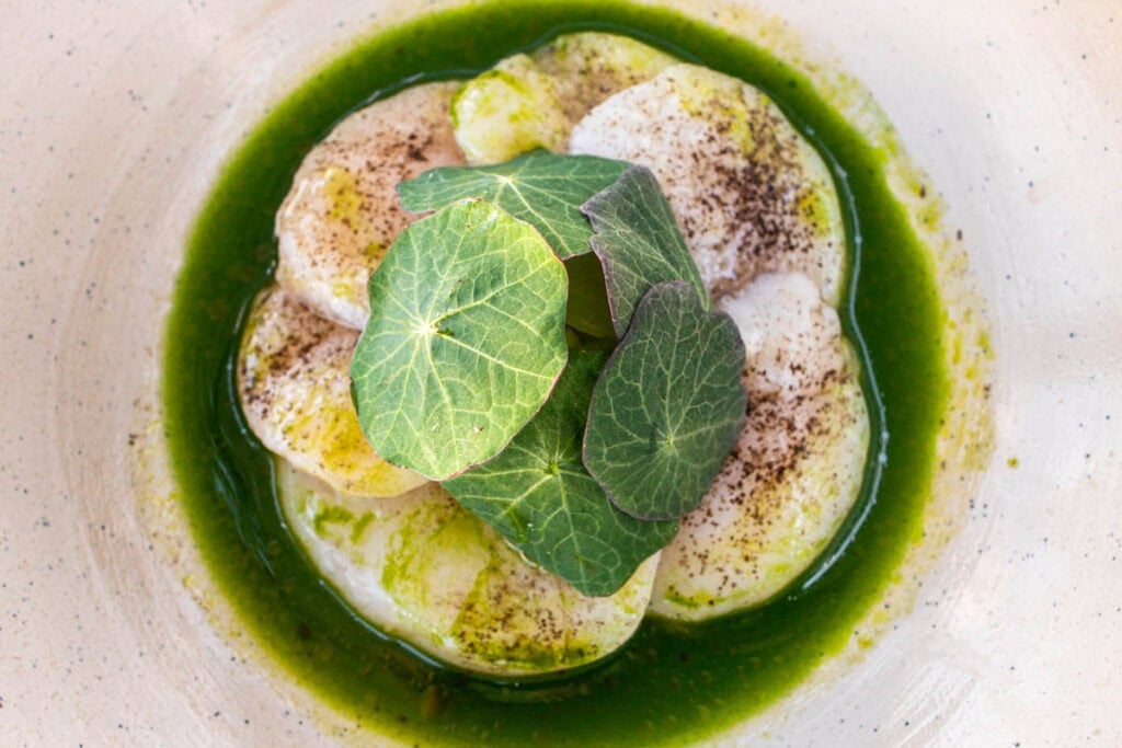 Scallops at Kodbyens Fiskebar in Copenhagen