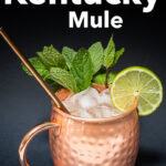 Pinterest image: photo of kentucky mule with caption reading "Hey It's a Kentucky Mule"