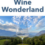 Pinterest image: photo of wine in Alto Adige with caption reading "Italy's Wine Wonderland"