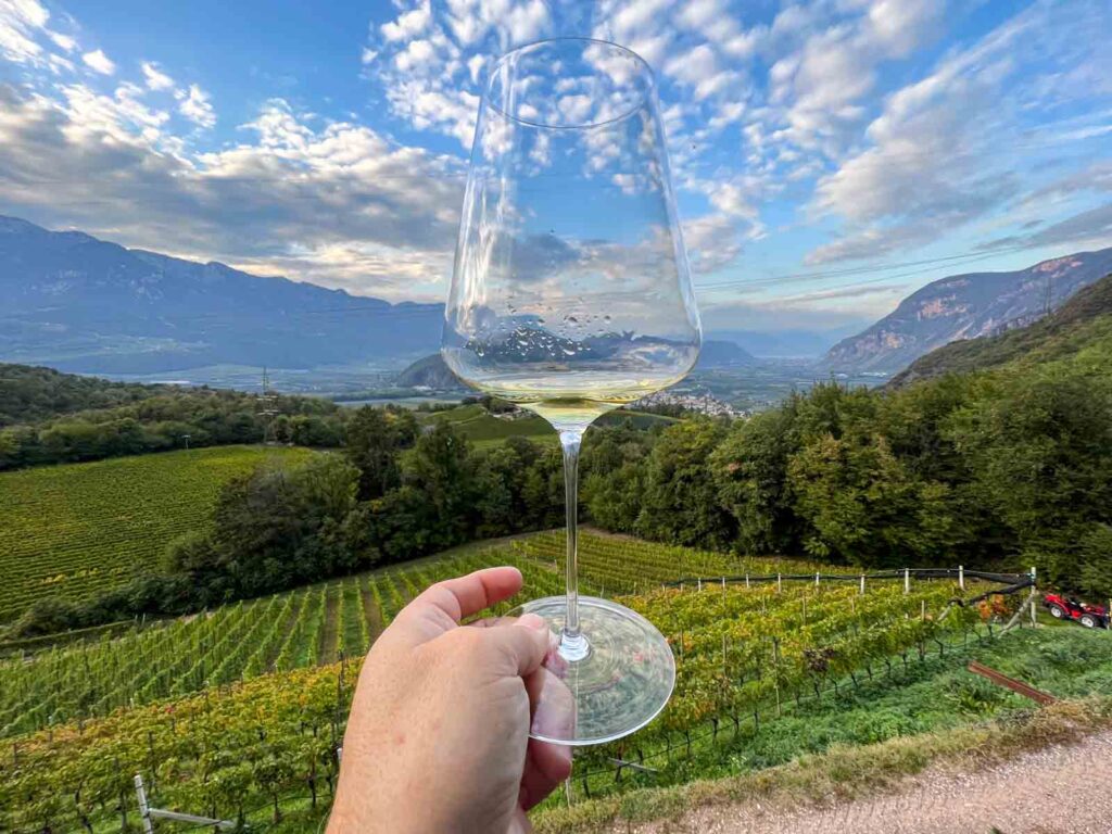 Wine with a View at Winery Pfitscher in Alto Adige