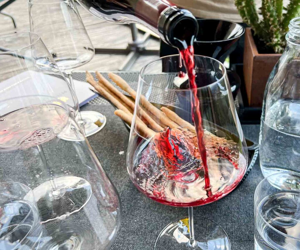 Winery Pfitscher Wine Tasting in Alto Adige