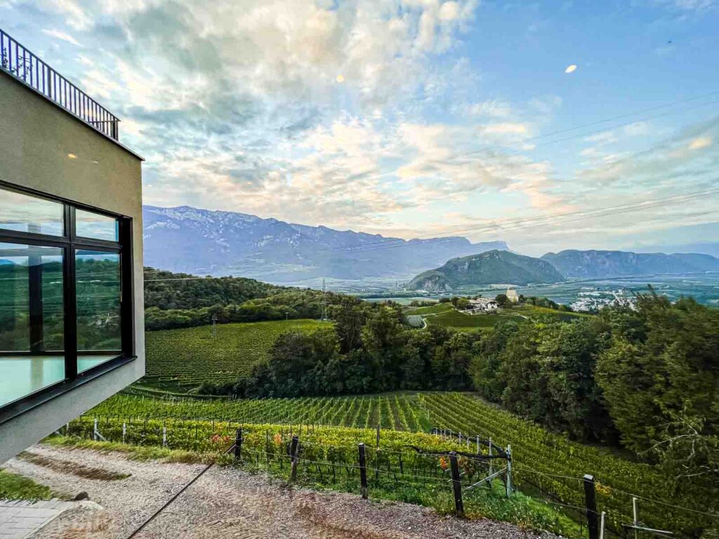 Winery Pfitscher in Alto Adige