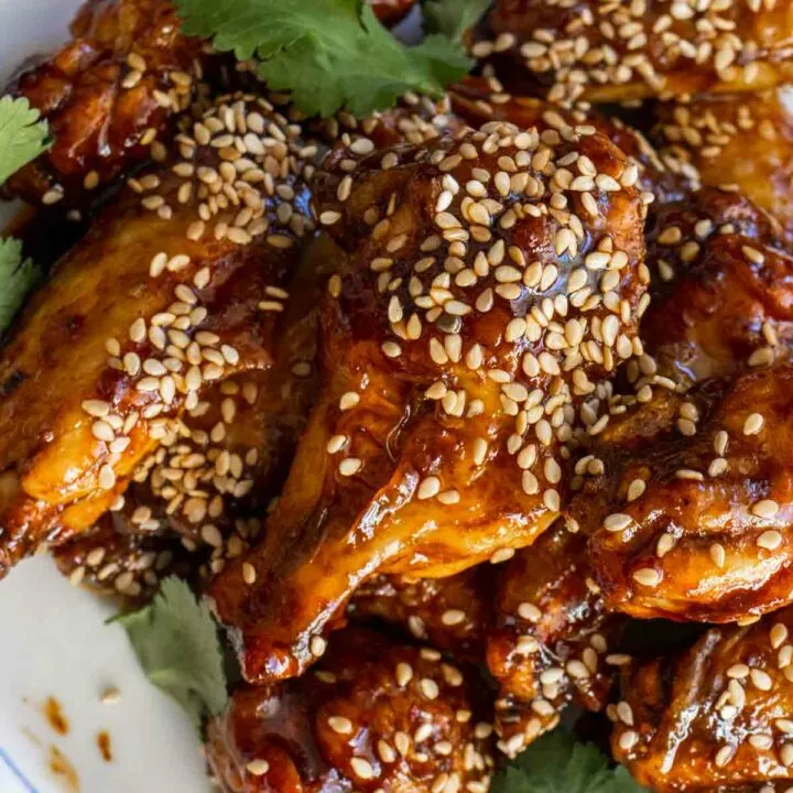 Asian Chicken Wings - Extreme Closeup