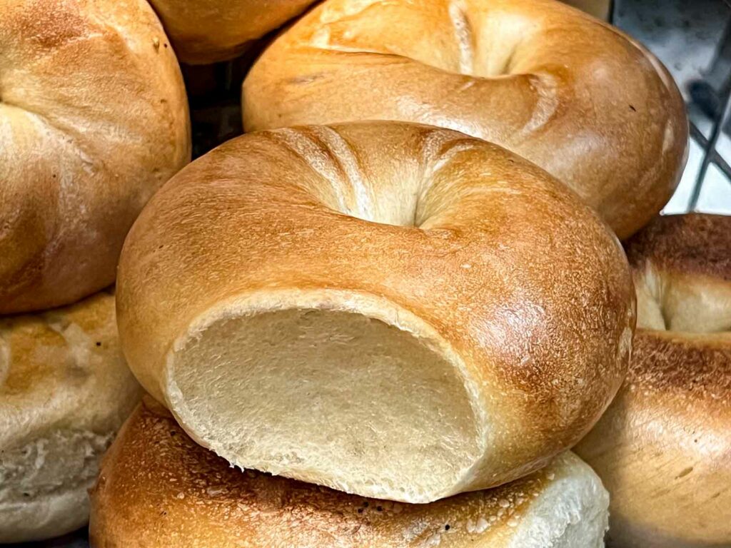 Plain Bagels at Absolute Bagels in New York City