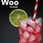 Pinterest image: Woo Woo cocktail with caption reading 'How to Craft a Woo Woo Cocktail'