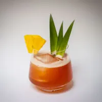Jungle Bird Cocktail with Grey Background