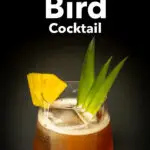 Pinterest image: photo of a Jungle Bird Cocktail with caption reading 