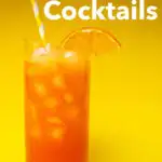 Pinterest image: photo of Garibaldi Cocktail with caption reading The Best Summer Cocktails"