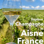 Pinterest image: photo of a a Champagne Glass in a Champagne vineyard with caption reading 