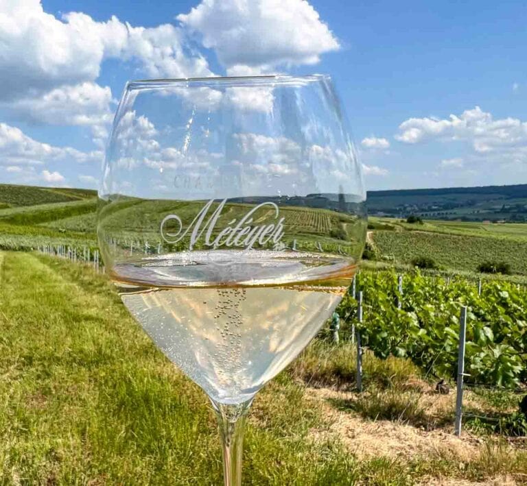 Champagne Glass at Champagne Meteyer in Aisne