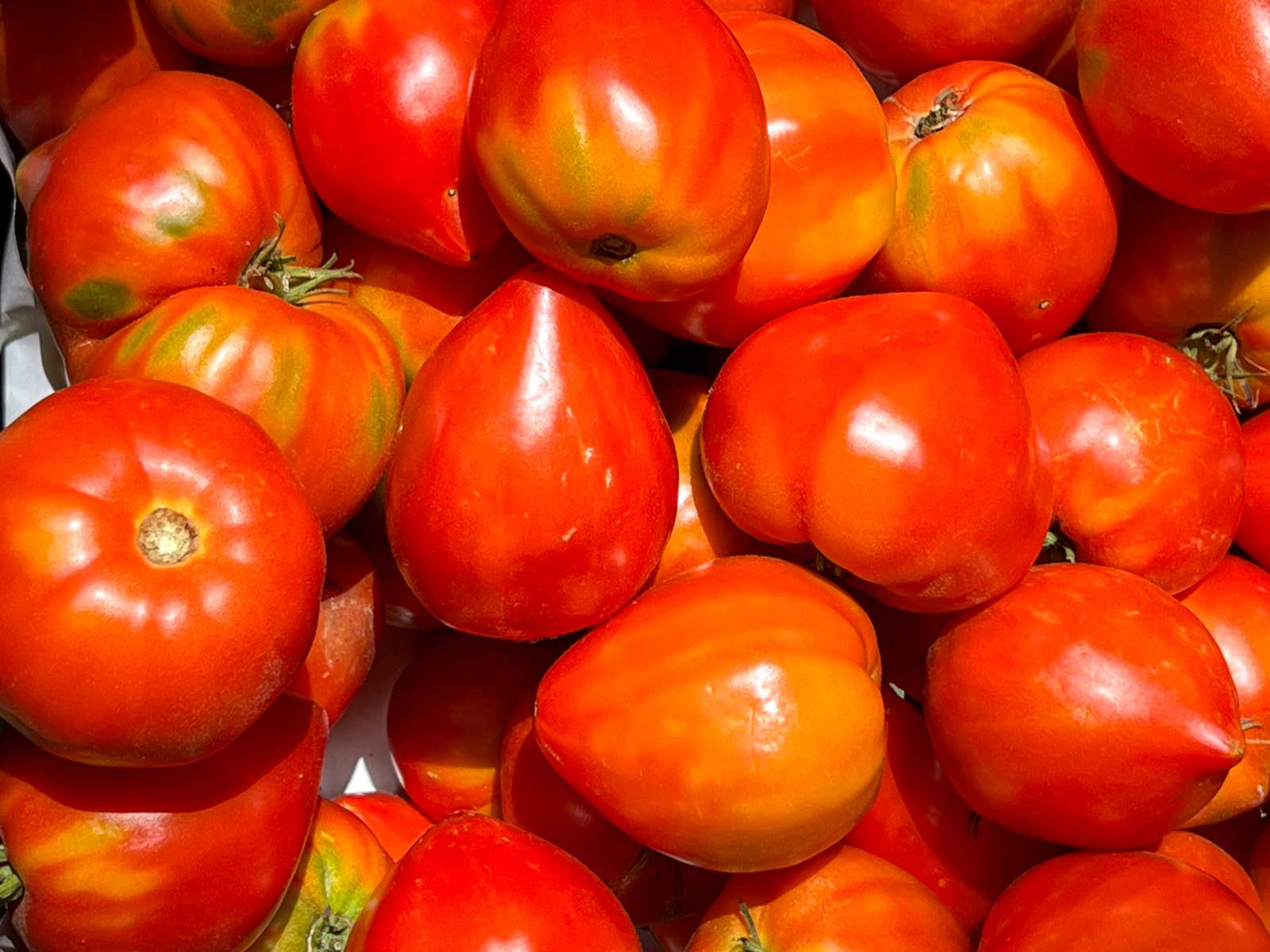Tomatoes at the Farmers Market