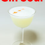 Pinterest image: photo of a Gin Sour with caption reading 